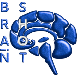 Brain-Shot Academy